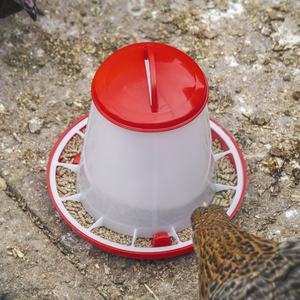 Sealey AFT025 Poultry Feeder 1.5kg - Pack of 5 - additional view 5