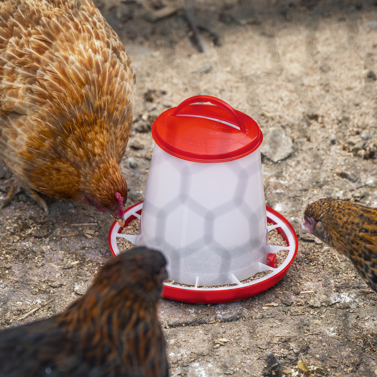 Sealey AFT02 Poultry Feeder 1.5kg - additional view 2