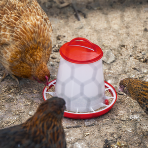 Sealey AFT02 Poultry Feeder 1.5kg - additional view 2