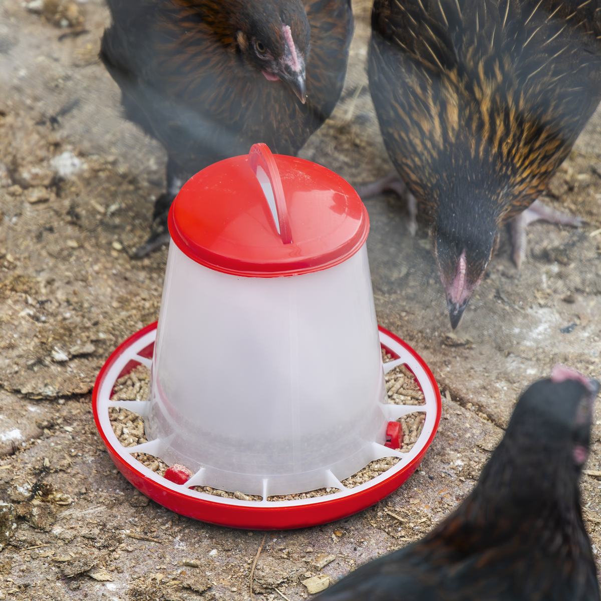 Sealey AFT02 Poultry Feeder 1.5kg - additional view 4