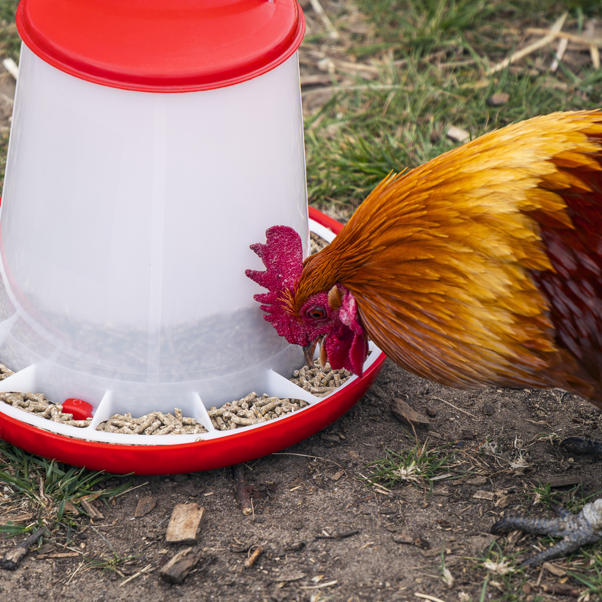 Sealey AFT033 Poultry Feeder 3kg - Pack of 3 - additional view 4