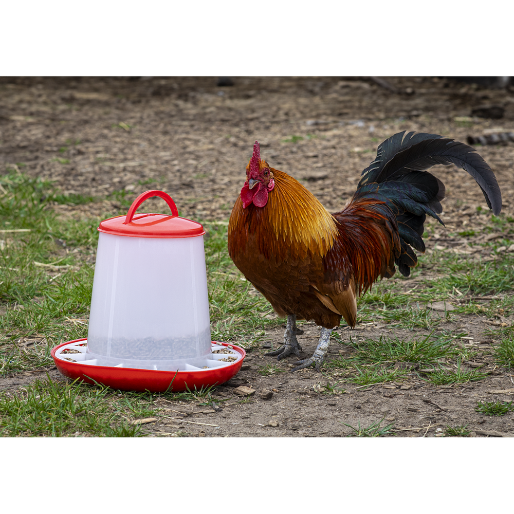 Sealey AFT033 Poultry Feeder 3kg - Pack of 3 - additional view 7