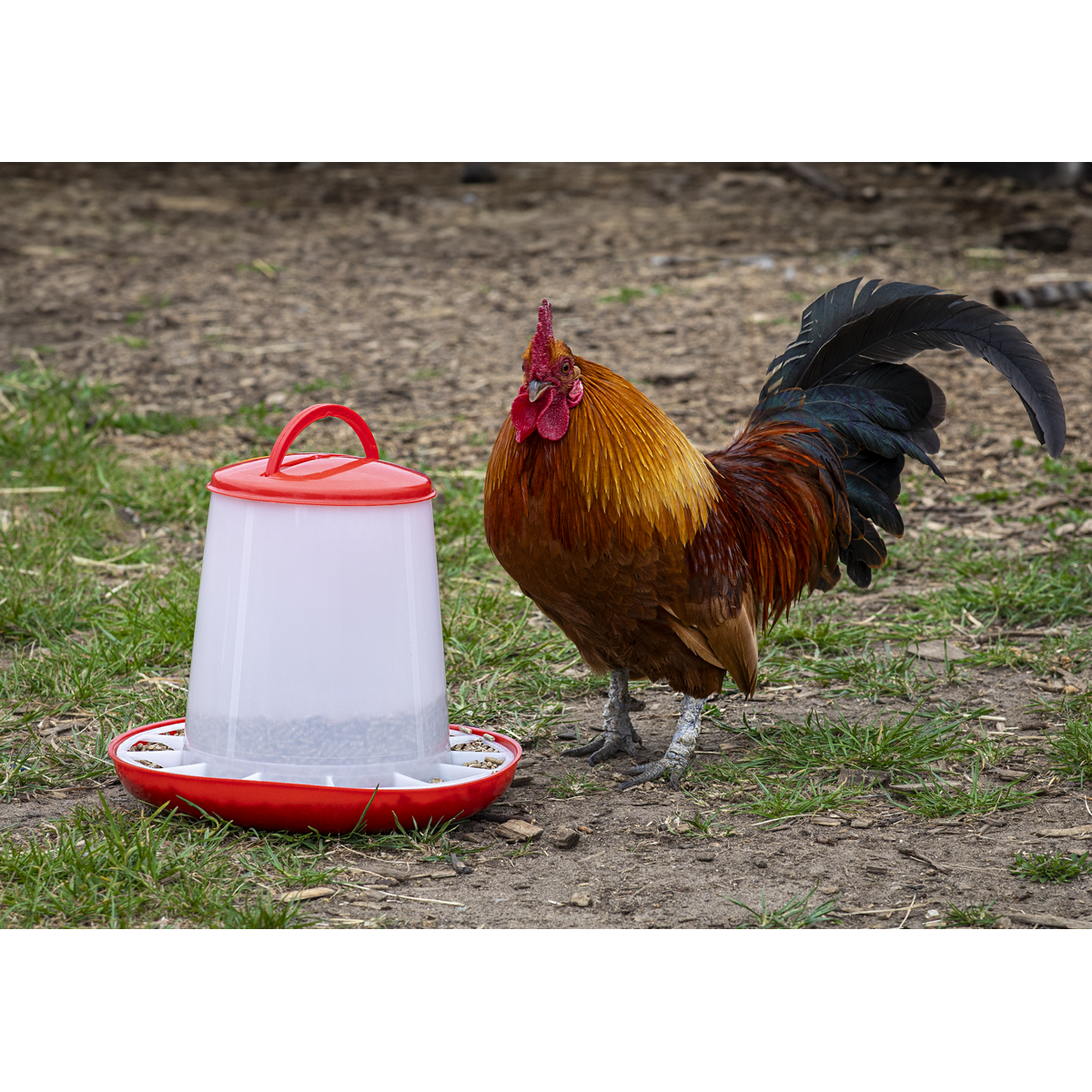 Sealey AFT033 Poultry Feeder 3kg - Pack of 3 - additional view 7
