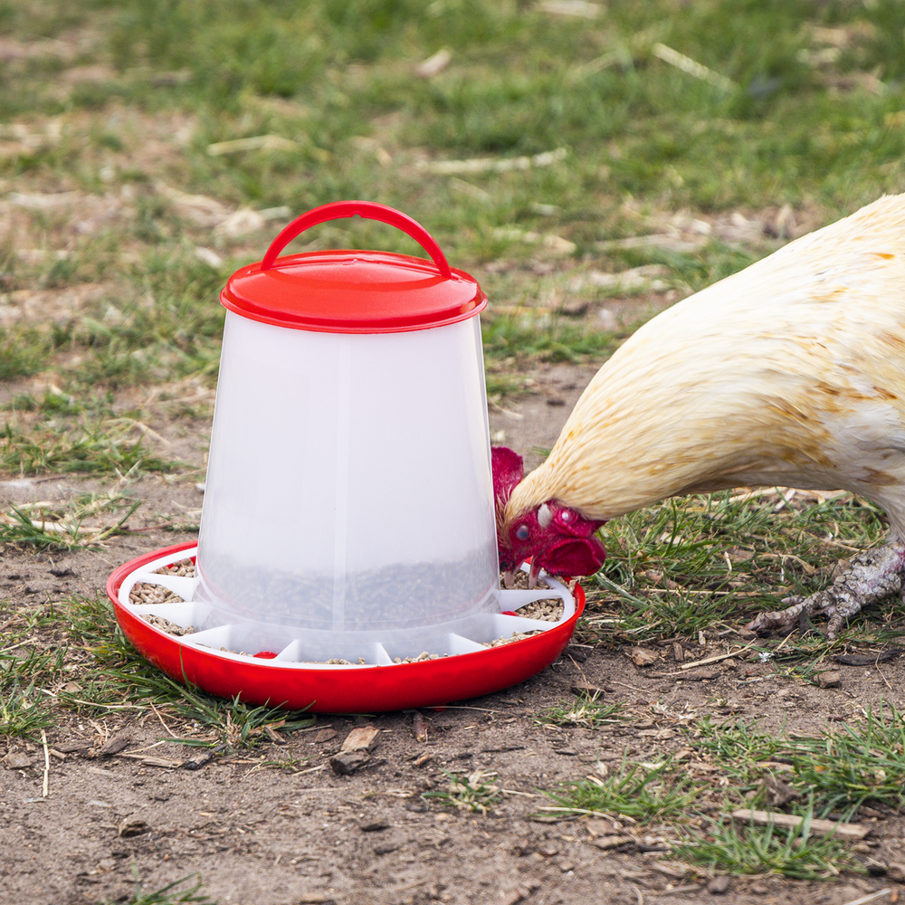 Sealey AFT03 Poultry Feeder 3kg - additional view 3