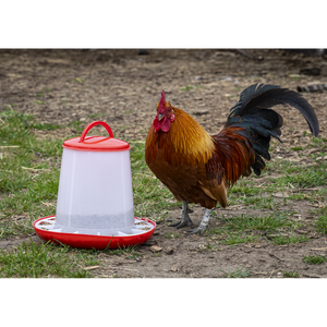 Sealey AFT03 Poultry Feeder 3kg - additional view 7