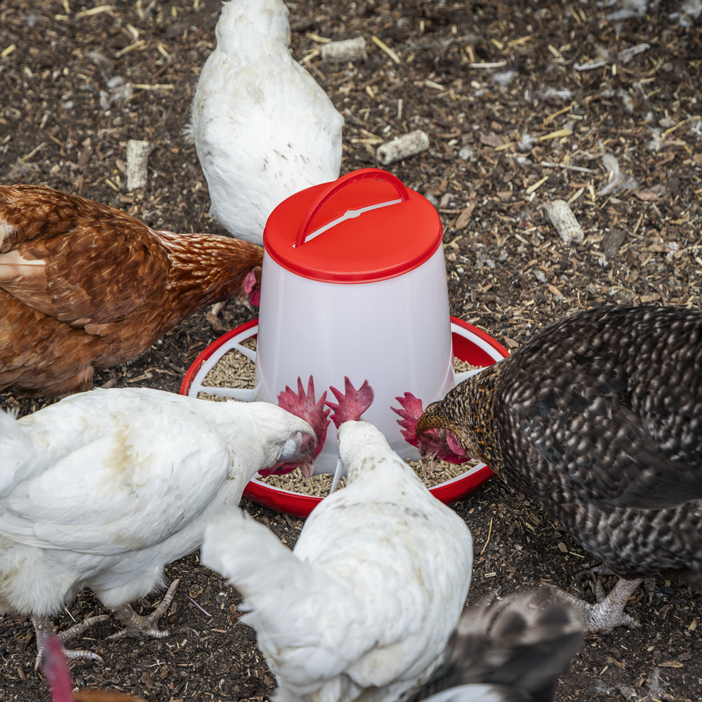 Sealey AFT042 Poultry Feeder 6kg - Pack of 2 - additional view 7