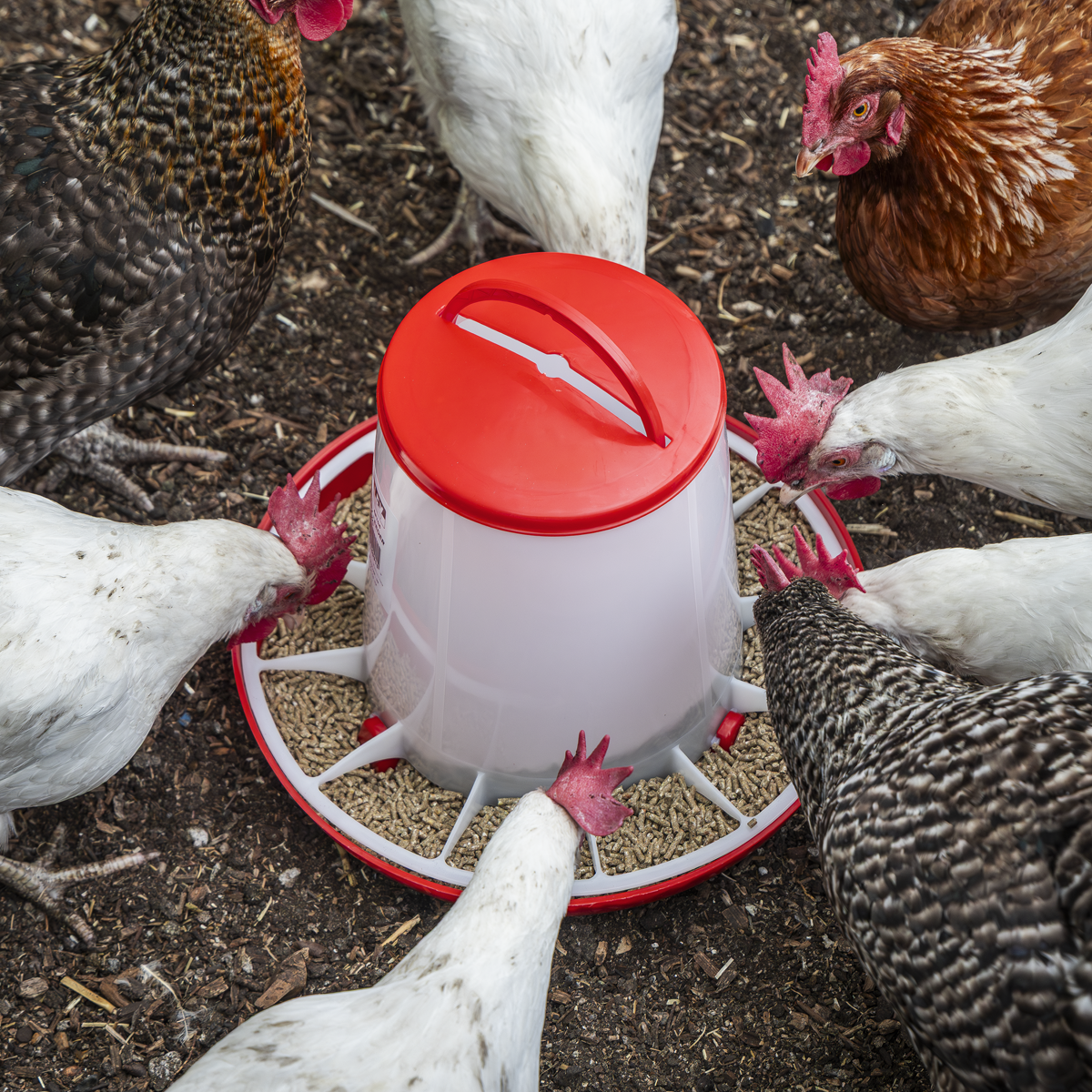 Sealey AFT04 Poultry Feeder 6kg - additional view 5