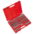 Sealey AK2198 Premier Ribe Socket Bit Set 1/2"Sq Drive 32pc