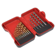 Sealey AK3717TCM HSS/Masonry Drill Bit Set 17pc