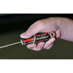 Sealey AK4361 Premier GripMAX® Phillips Screwdriver #2 x 100mm - additional view 8