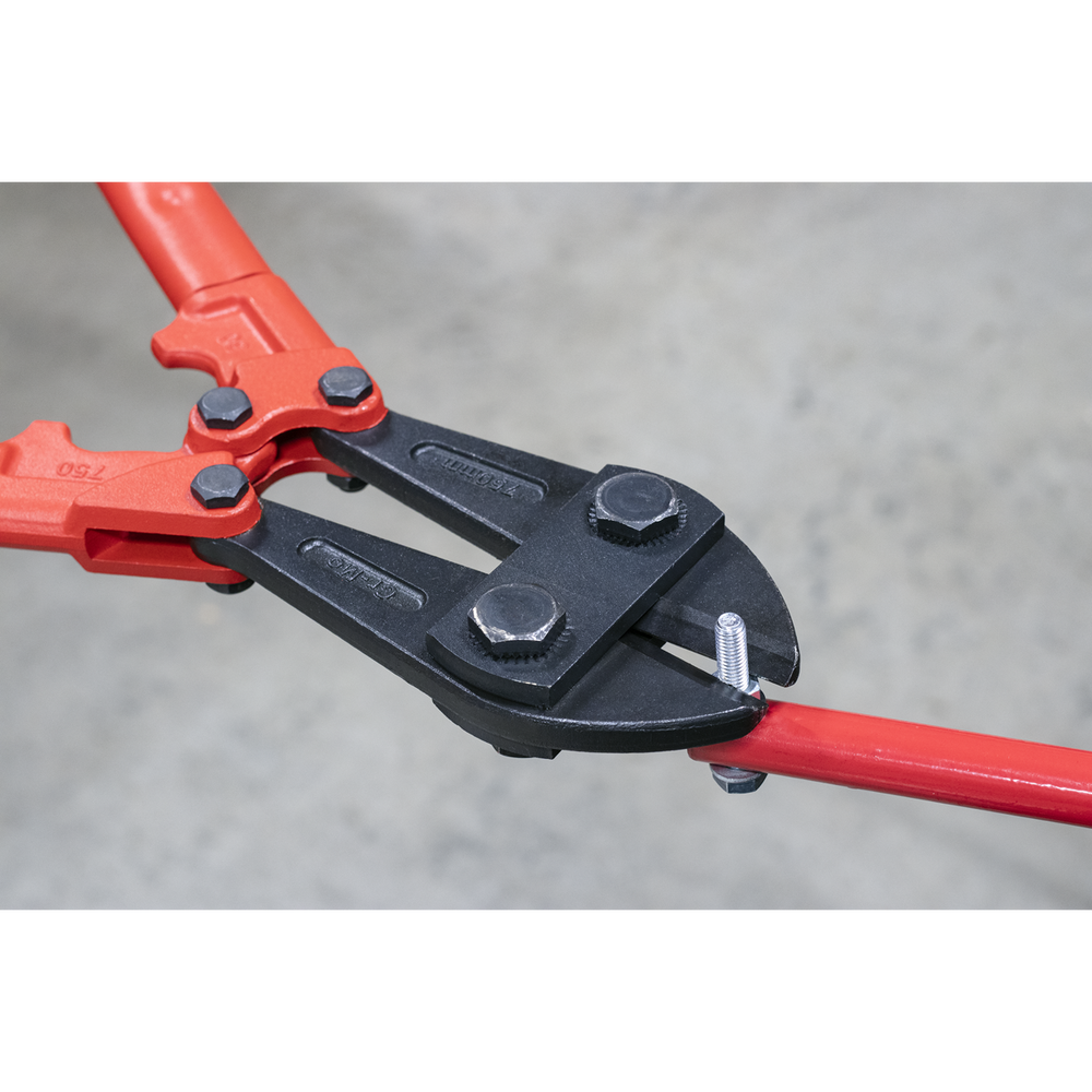 Sealey AK510 Premier Bolt Cutters 750mm 13mm Capacity - additional view 4