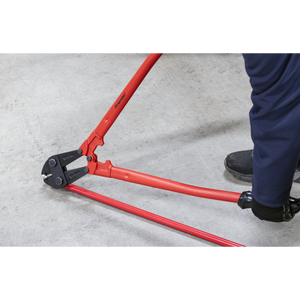 Sealey AK510 Premier Bolt Cutters 750mm 13mm Capacity - additional view 5