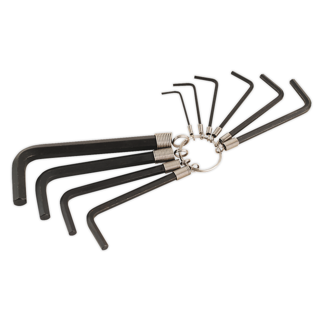 Sealey AK6148 Premier Hex Key Set on Ring 10pc