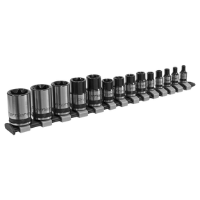Sealey AK618B Premier Black TRX-Star* Socket Set 1/4", 3/8" & 1/2"Sq Drive E4-E24 14pc