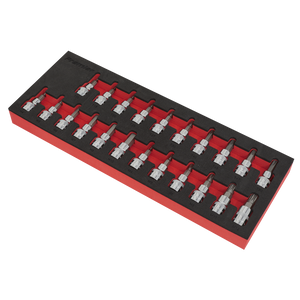 Sealey AK6243 Premier TRX-Star*/Hex/Spline Socket Bit Set 3/8"Sq Drive 22pc - additional view 4