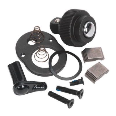 Sealey AK667238.RK Premier Repair Kit for AK6672.02 & AK667238M 3/8"Sq Drive
