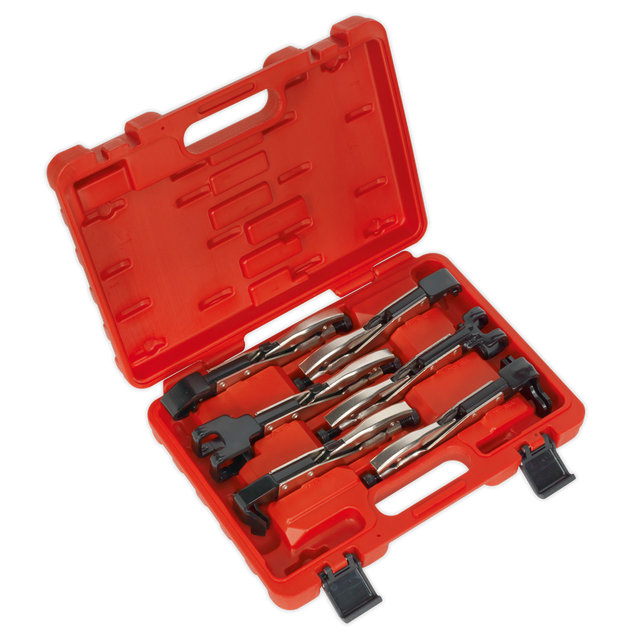 Sealey AK68403 Premier Axial Locking Grip Set 6pc