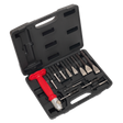 Sealey AK9215 Premier Interchangeable Punch & Chisel Set 13pc