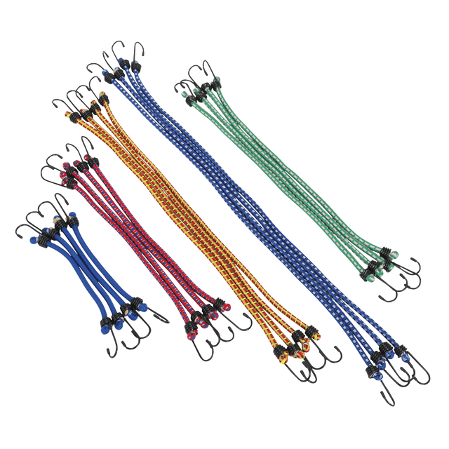 Sealey BCS20 Bungee Cord Set 20pc