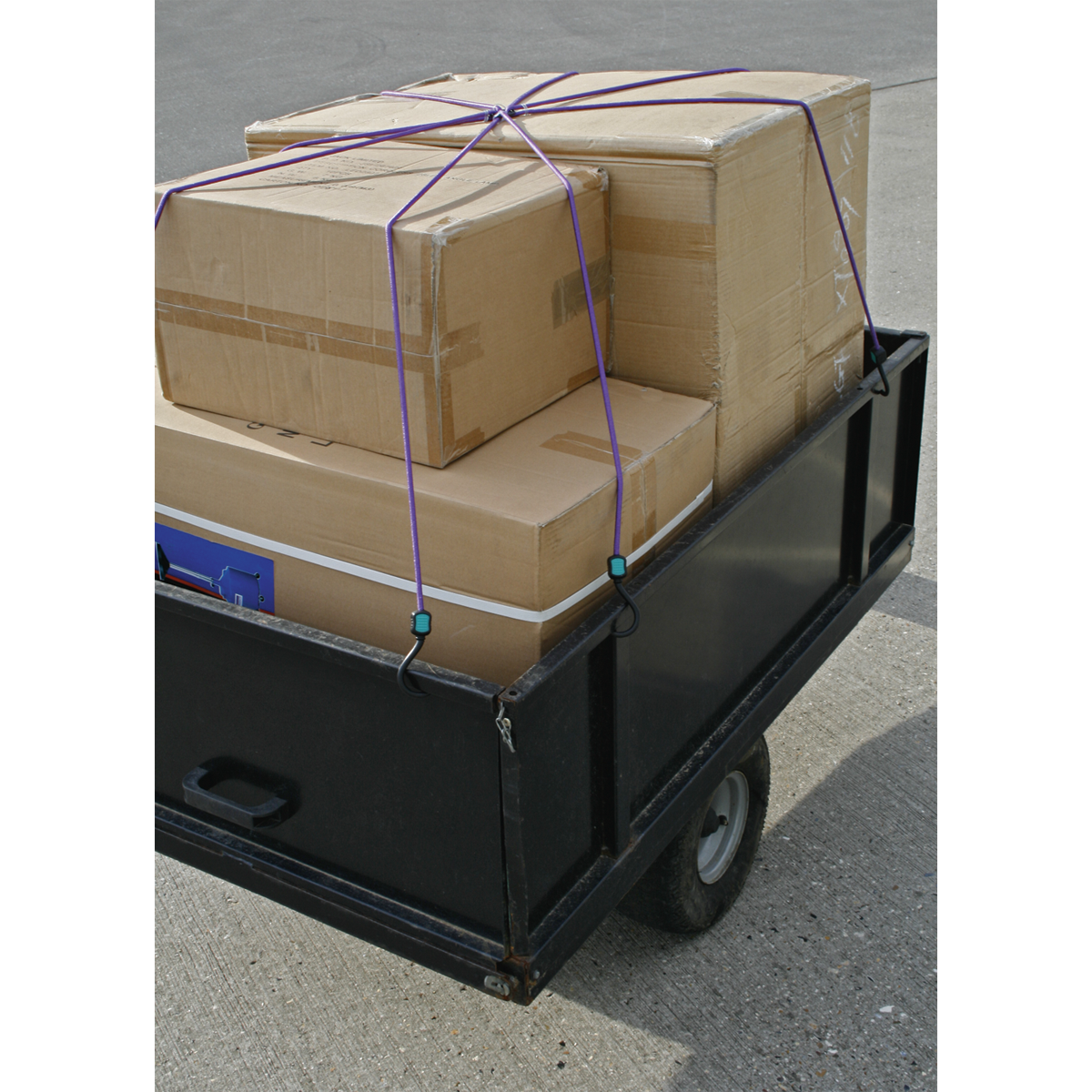 Sealey BCS23 Octopus Bungee Cord 1000mm - additional view 2
