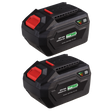 Sealey BK06 SV20 Series Power Tool Battery 20V 6Ah - Pack of 2