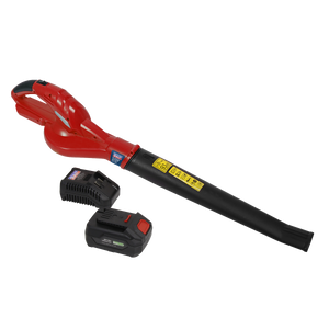 Sealey CB20VCOMBO4 SV20 Series Cordless Leaf Blower with 20V 4Ah Battery & Charger - additional view 6