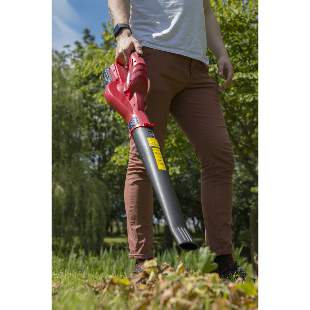 Sealey CB20VCOMBO2 SV20 Series Cordless Leaf Blower with 20V 2Ah Battery & Charger - additional view 7