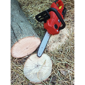 Sealey CP20VCHSKIT SV20 Series 25cm Cordless Chainsaw Kit 20V 4Ah - 2 Batteries - additional view 9
