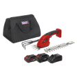 Sealey CP20VGT3KIT SV20 Series 3-in-1 Cordless Garden Tool 20V - 2 Batteries