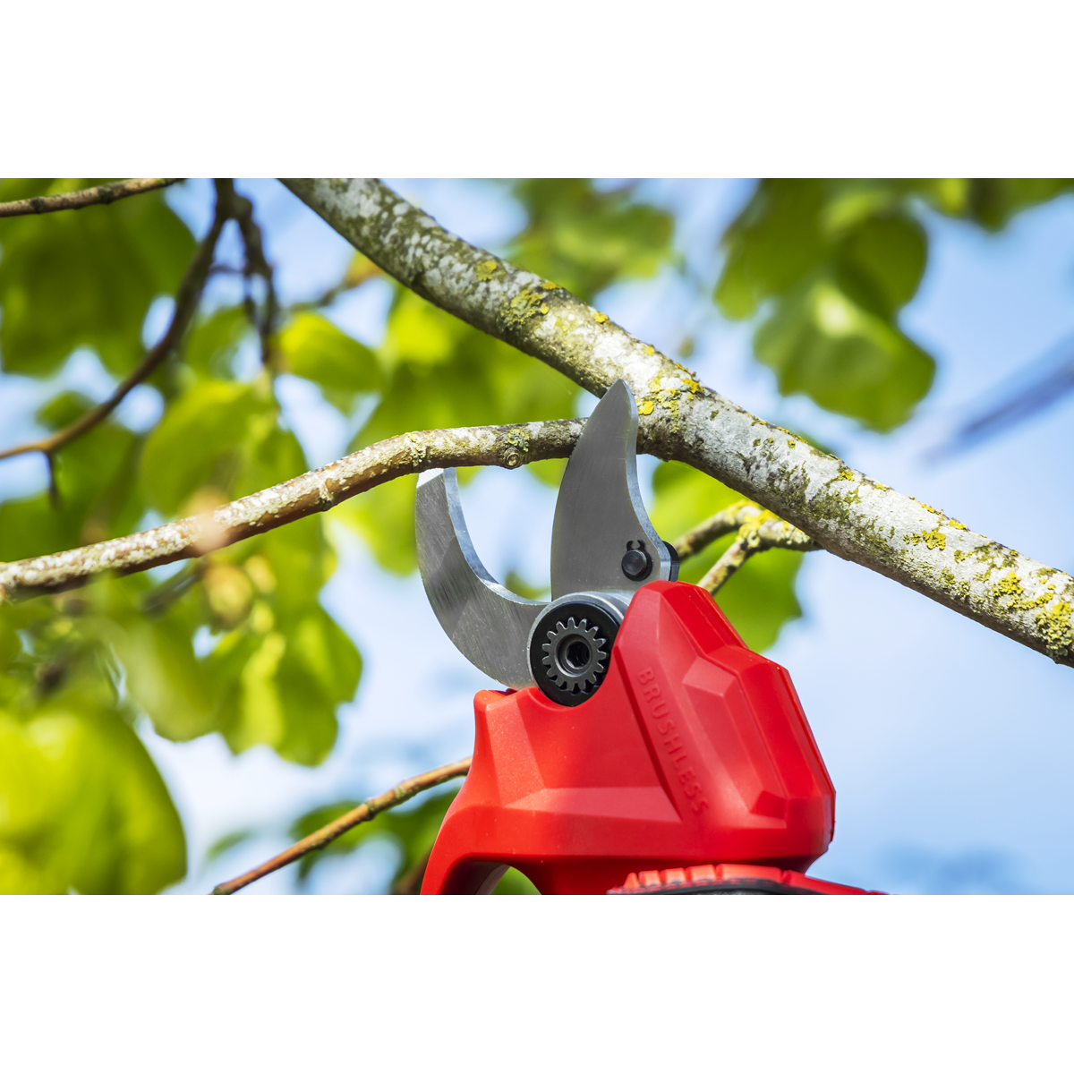 Sealey CP20VPSKIT SV20 Series Brushless Cordless Pruning Shears Kit 20V 2Ah - 2 Batteries - additional view 11