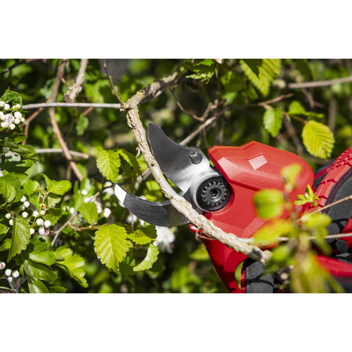 Sealey CP20VPS SV20 Series Brushless Cordless Pruning Shears 20V - Body Only - additional view 11
