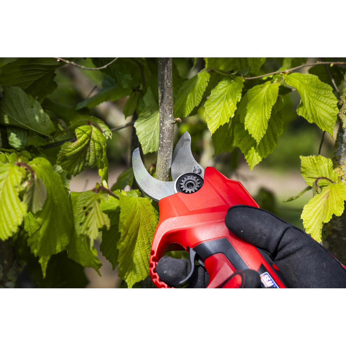 Sealey CP20VPS SV20 Series Brushless Cordless Pruning Shears 20V - Body Only - additional view 15