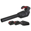 Sealey CP40VBKIT Cordless Blower Kit 40V 4Ah SV20 Series