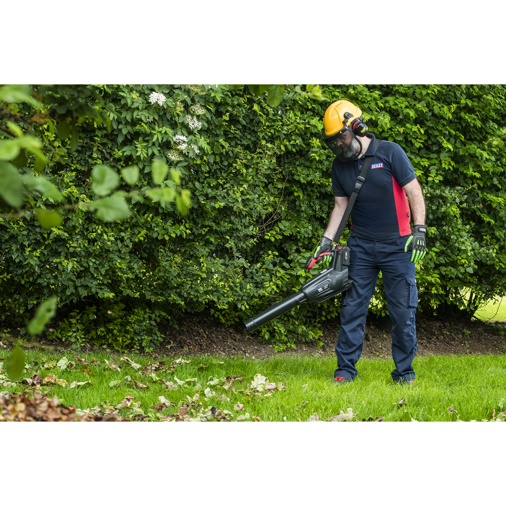 Sealey CP40VB SV20 Series Cordless Blower 40V - Body Only - additional view 12
