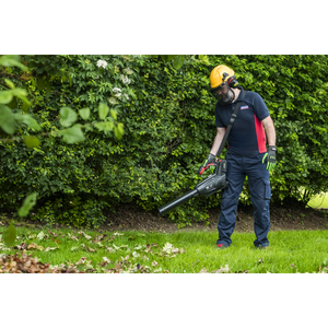 Sealey CP40VB SV20 Series Cordless Blower 40V - Body Only - additional view 12