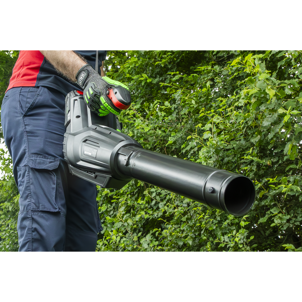 Sealey CP40VB SV20 Series Cordless Blower 40V - Body Only - additional view 15