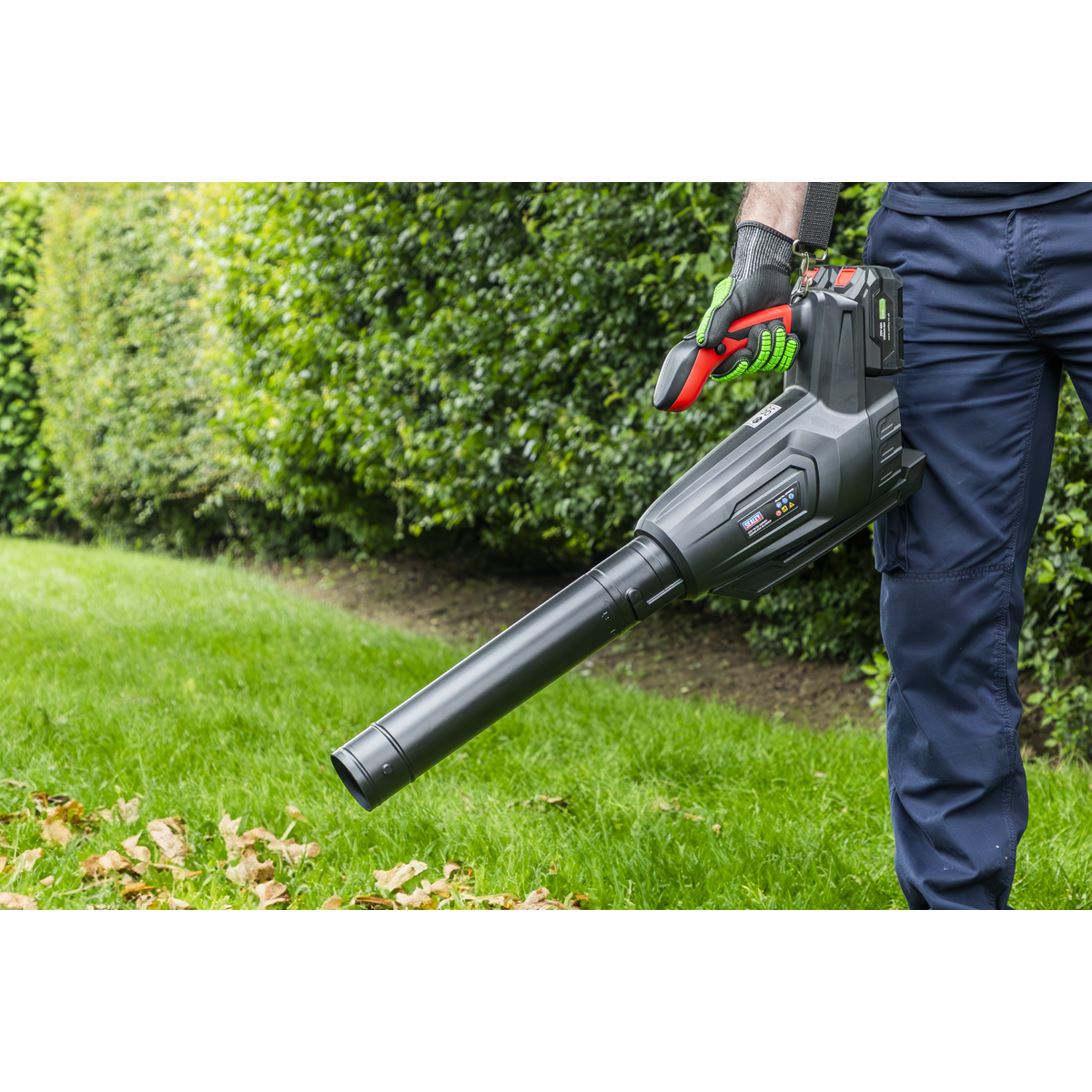 Sealey CP40VB SV20 Series Cordless Blower 40V - Body Only - additional view 16