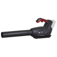 Sealey CP40VB SV20 Series Cordless Blower 40V - Body Only