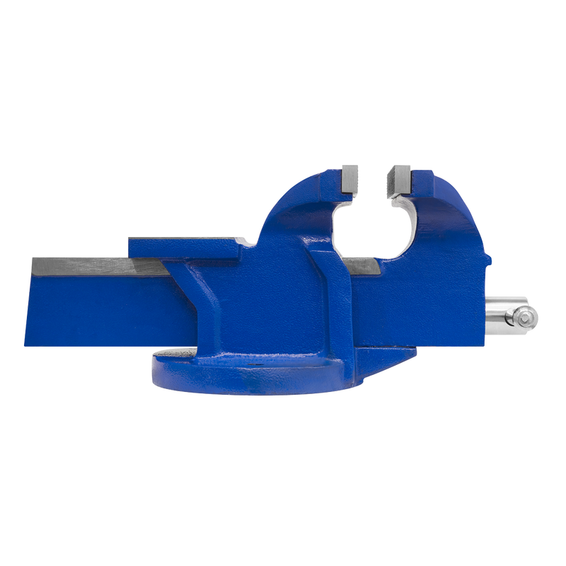 Sealey BGVDSCOMBO2 Vice Stand Deal - additional view 9