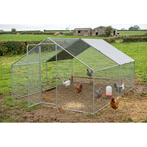 Dellonda DG279 Walk-In Galvanized Steel Chicken Run with Roof Cover & PVC Coated Chicken Wire - additional view 11