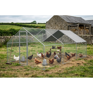 Dellonda DG280 Walk-In Galvanized Steel Chicken Run with Roof Cover & PVC Coated Chicken Wire - additional view 10