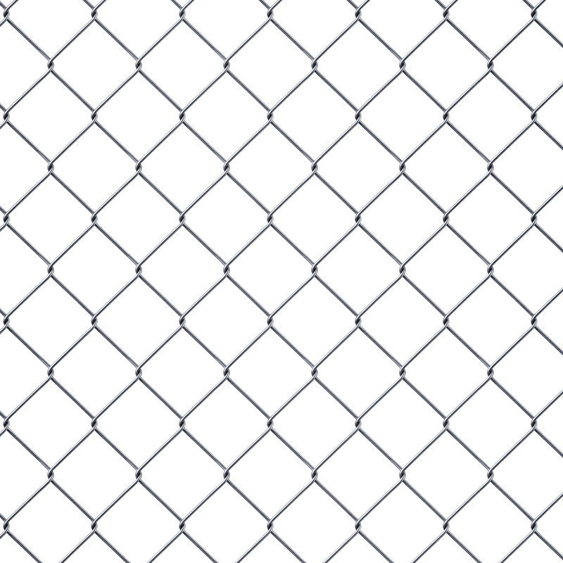 Dellonda DG281 Galvanized Steel Dog Kennel with Roof Cover & Chain Link Fencing - additional view 5
