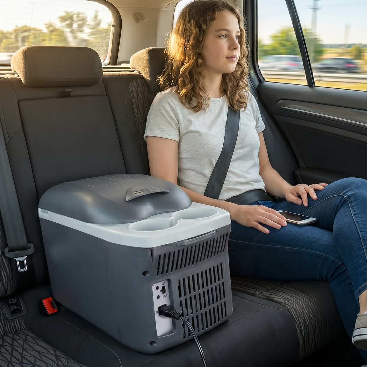 Dellonda DL166 8L Portable Cool Box 12V - additional view 4