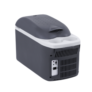 Dellonda DL166 8L Portable Cool Box 12V