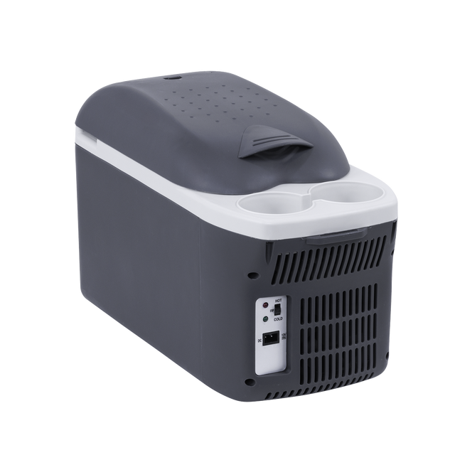 Dellonda DL166 8L Portable Cool Box 12V