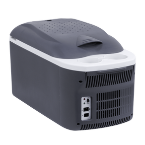 Dellonda DL167 16L Portable Cool Box 12V/230V