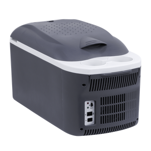 Dellonda DL167 16L Portable Cool Box 12V/230V