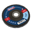 Sealey FD10060 100mm Zirconium Flap Disc 60Grit 16mm Bore