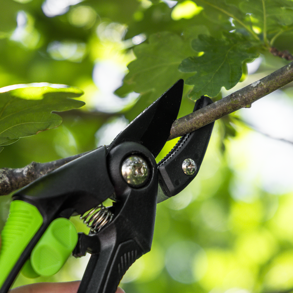 Sealey GTSG002 Anvil Secateurs with Soft Grip Handle, Safety Lock & Carbon Steel Blade, 208mm - additional view 5