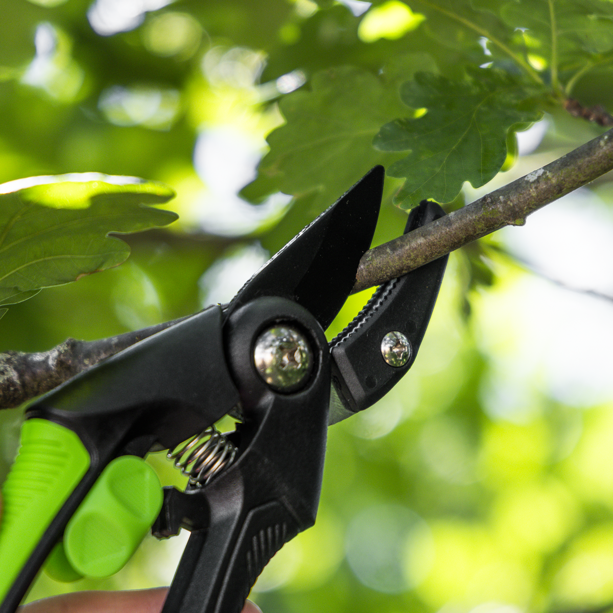 Sealey GTSG002 Anvil Secateurs with Soft Grip Handle, Safety Lock & Carbon Steel Blade, 208mm - additional view 5